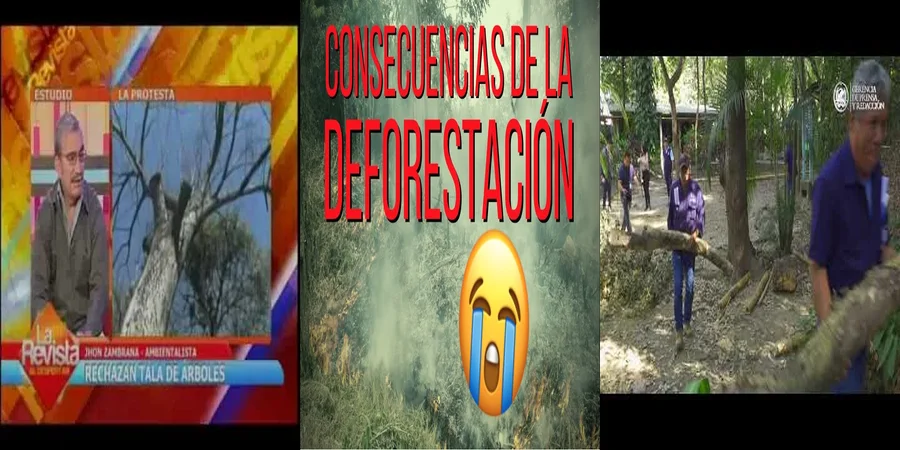 "¿Qué Prohíbe la Nueva Ley de Protección de Árboles en México?"