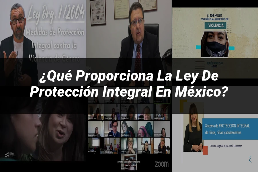 "¿Qué Proporciona la Ley de Protección Integral en México?"
