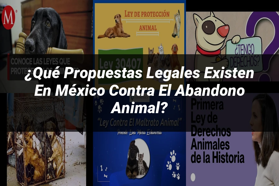 "¿Qué Propuestas Legales Existen en México contra el Abandono Animal?"