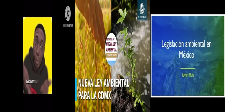 "¿Qué Propuestas Legales Existen en México para Proteger el Medio Ambiente?"