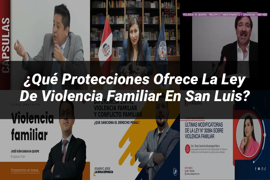 "¿Qué Protecciones Ofrece la Ley de Violencia Familiar en San Luis?"