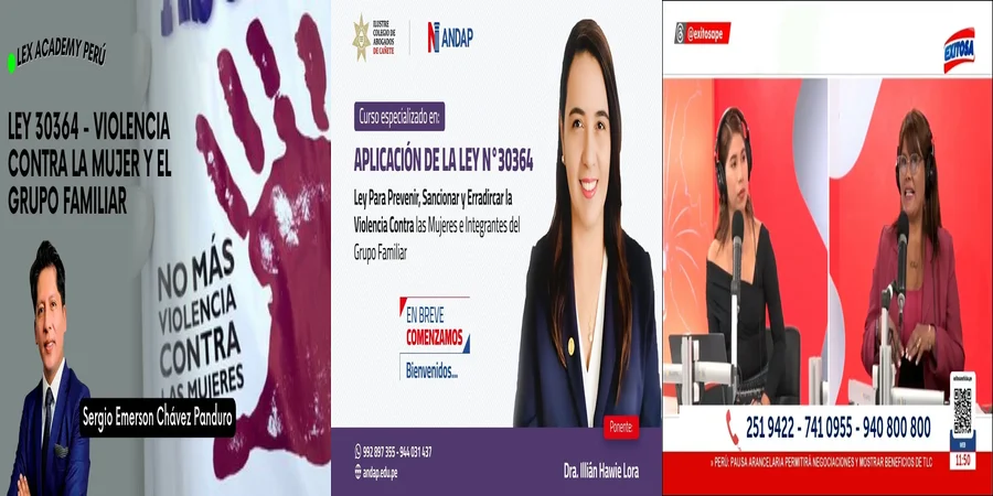 "¿Qué Protecciones Ofrece la Ley de Violencia Familiar en San Luis?"
