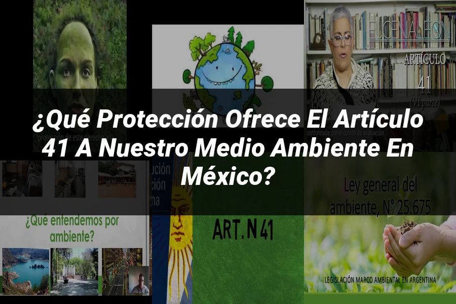 "¿Qué Protección Ofrece el Artículo 41 a Nuestro Medio Ambiente en México?"