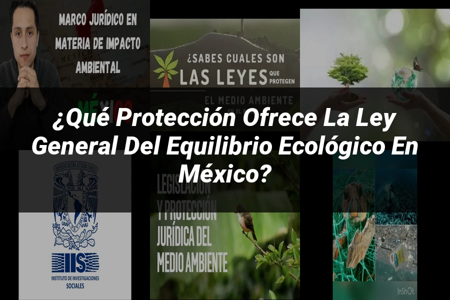 "¿Qué Protección Ofrece la Ley General del Equilibrio Ecológico en México?"