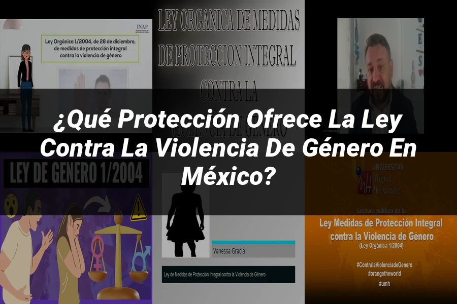 "¿Qué Protección Ofrece la Ley contra la Violencia de Género en México?"