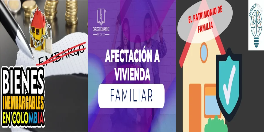 "¿Qué Protección Ofrece la Ley de Afectación a Tu Vivienda en México?"