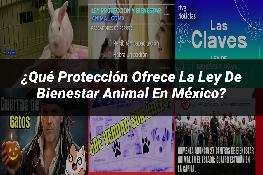 "¿Qué Protección Ofrece la Ley de Bienestar Animal en México?"
