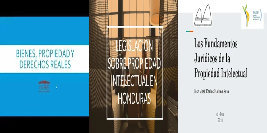 "¿Qué Protege el Código Civil en Materia de Propiedad Intelectual?"