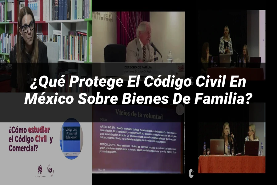 "¿Qué Protege el Código Civil en México sobre Bienes de Familia?"