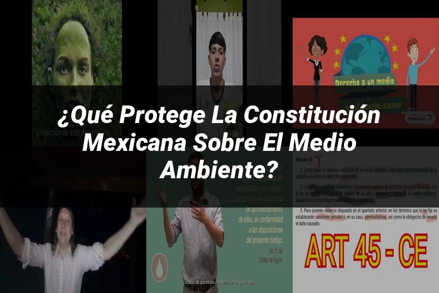 "¿Qué Protege la Constitución Mexicana sobre el Medio Ambiente?"
