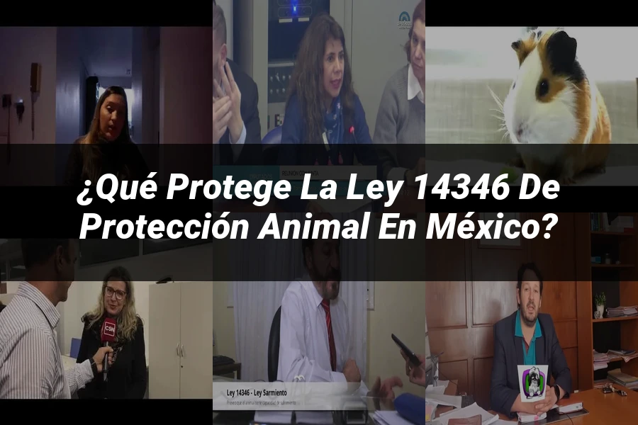 "¿Qué Protege la Ley 14346 de Protección Animal en México?"