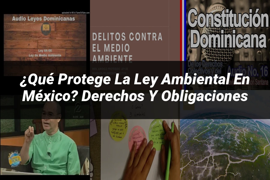 "¿Qué Protege la Ley Ambiental en México? Derechos y Obligaciones"