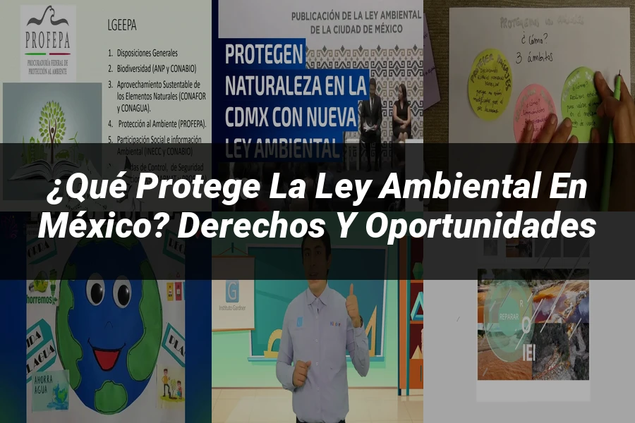 "¿Qué Protege la Ley Ambiental en México? Derechos y Oportunidades"