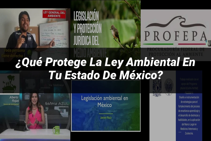 "¿Qué Protege la Ley Ambiental en Tu Estado de México?"