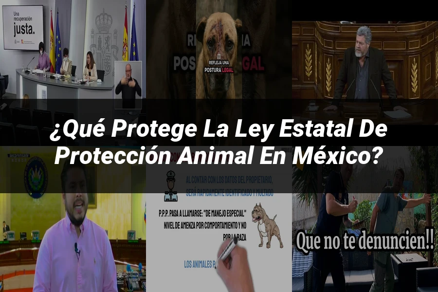 "¿Qué Protege la Ley Estatal de Protección Animal en México?"