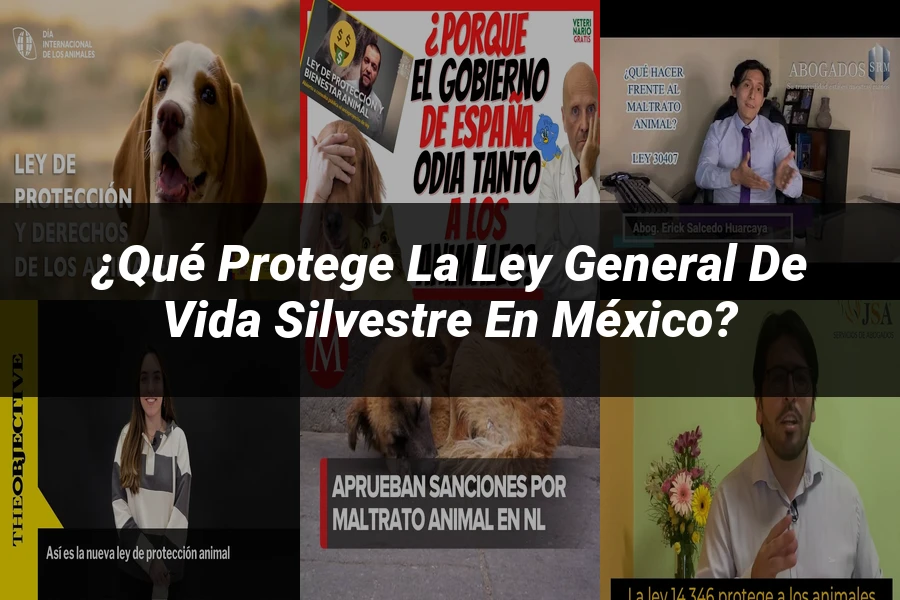 "¿Qué Protege la Ley General de Vida Silvestre en México?"