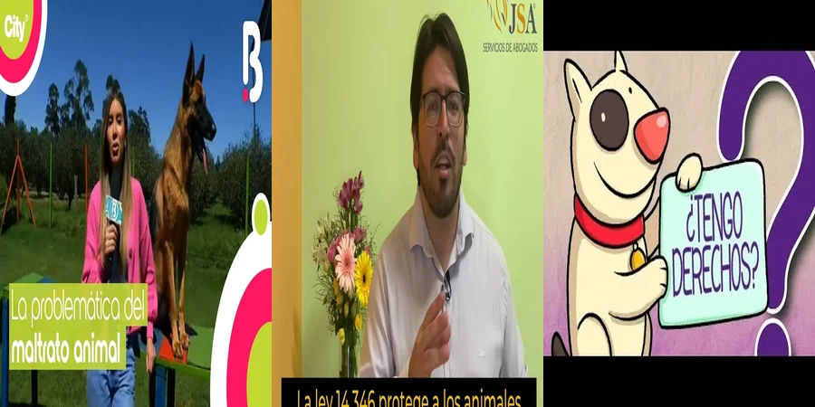 "¿Qué Protege la Ley Mexicana Contra el Maltrato Animal?"