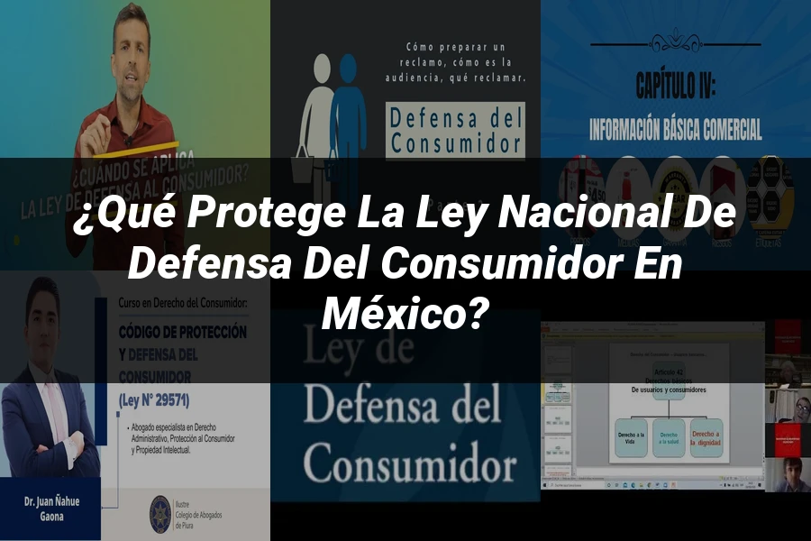 "¿Qué Protege la Ley Nacional de Defensa del Consumidor en México?"