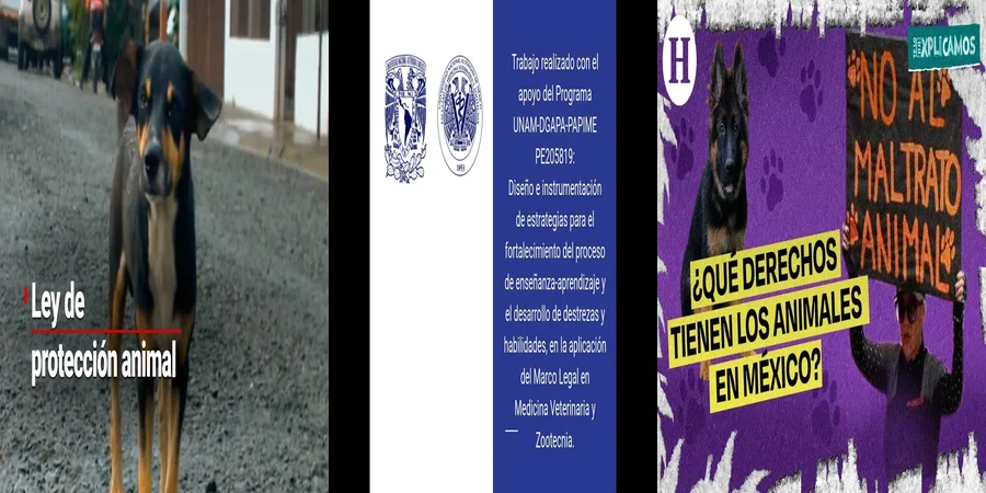 "¿Qué Protege la Ley de Bienestar Animal en México?"