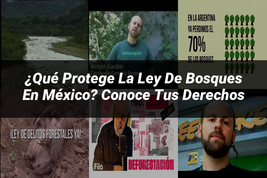 "¿Qué Protege la Ley de Bosques en México? Conoce tus Derechos"