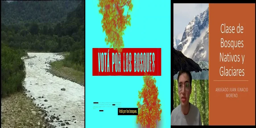 "¿Qué Protege la Ley de Bosques en México? Conoce tus Derechos"