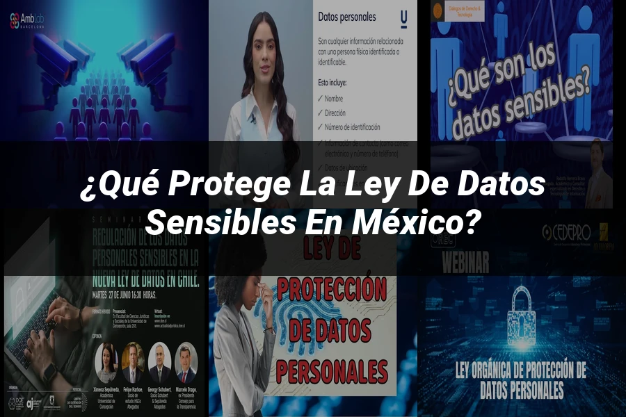 "¿Qué Protege la Ley de Datos Sensibles en México?"