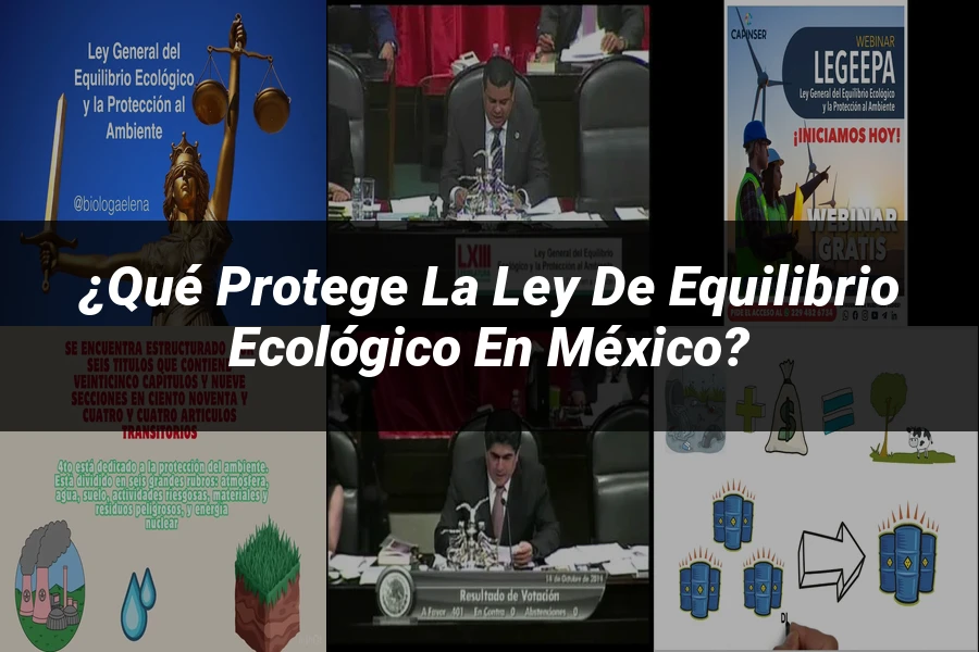 "¿Qué Protege la Ley de Equilibrio Ecológico en México?"