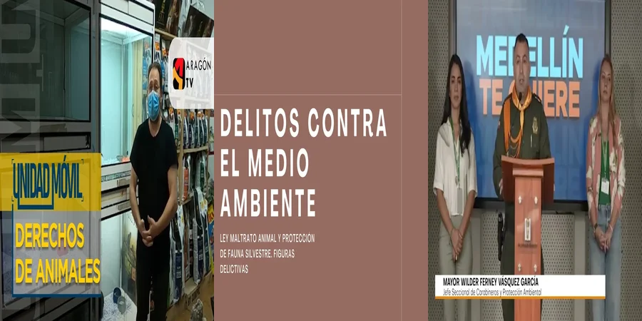 "¿Qué Protege la Ley de Maltrato Animal en México para tus Mascotas?"