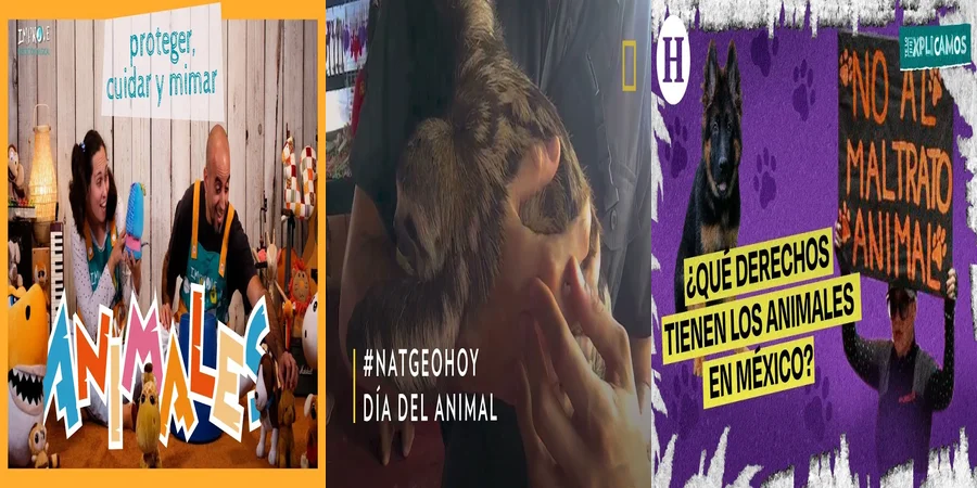 "¿Qué Protege la Ley de Protección Animal en México?"