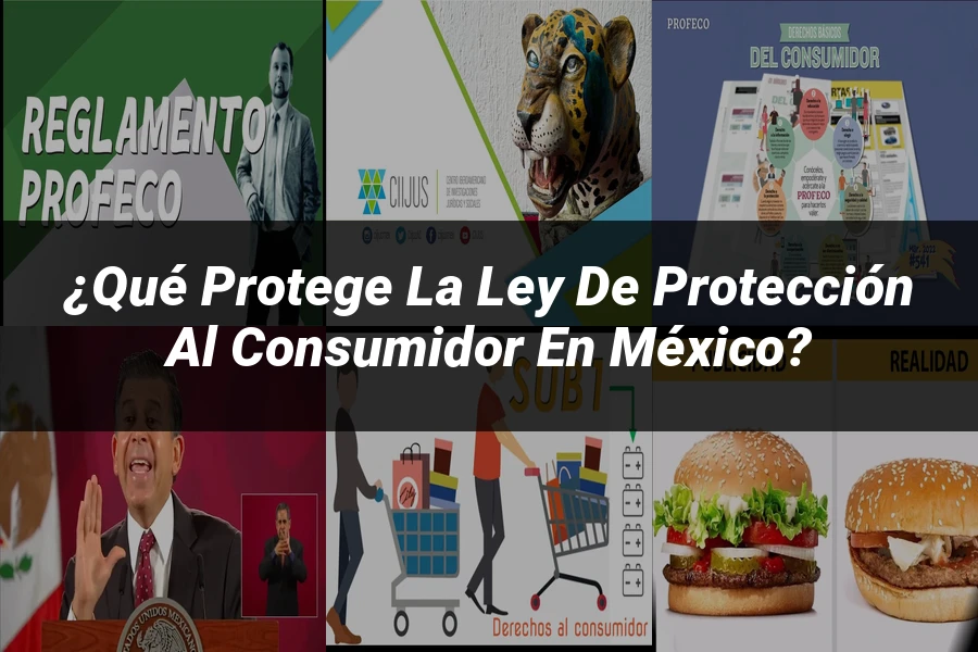 "¿Qué Protege la Ley de Protección al Consumidor en México?"