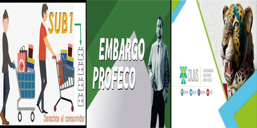 "¿Qué Protege la Ley de Protección al Consumidor en México?"