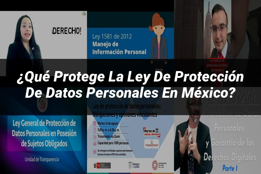 "¿Qué Protege la Ley de Protección de Datos Personales en México?"