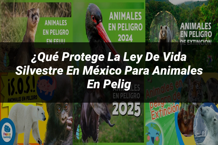 "¿Qué Protege la Ley de Vida Silvestre en México para Animales en Pelig