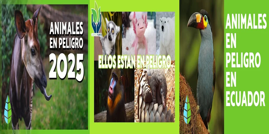 "¿Qué Protege la Ley de Vida Silvestre en México para Animales en Pelig