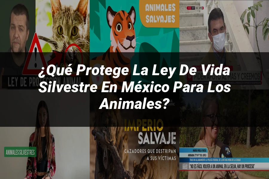 "¿Qué Protege la Ley de Vida Silvestre en México para los Animales?"