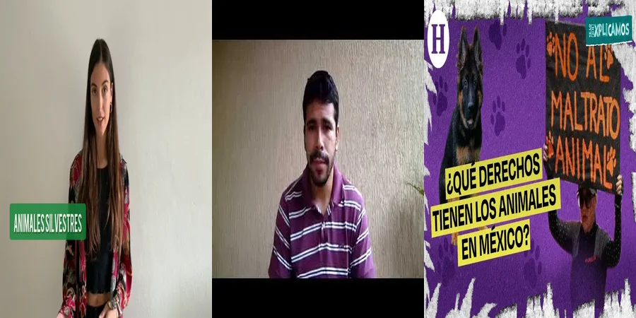"¿Qué Protege la Ley de Vida Silvestre en México? Tu Guía Legal"