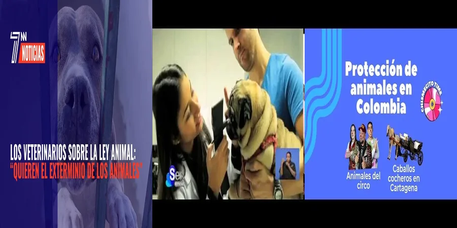 "¿Qué Protege la Nueva Ley de Bienestar Animal en México?"
