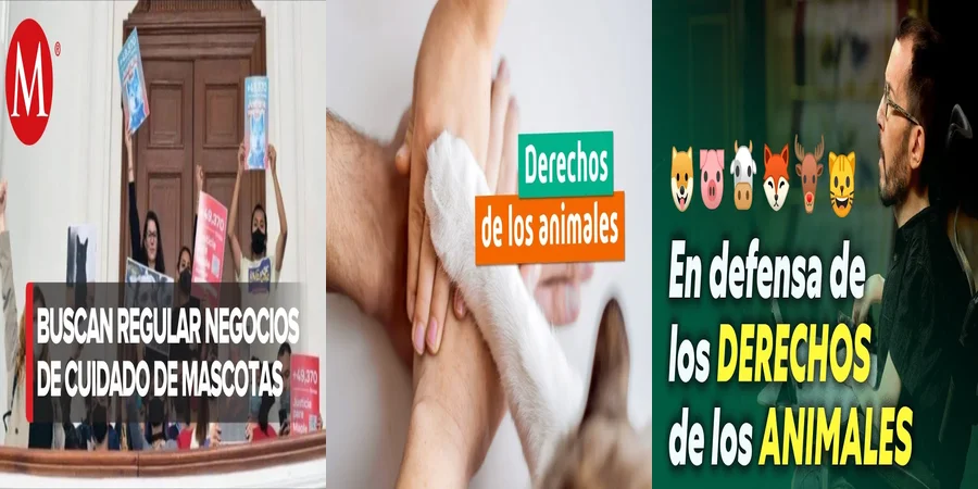 "¿Qué Protege la Nueva Ley de Derechos Animales en México?"
