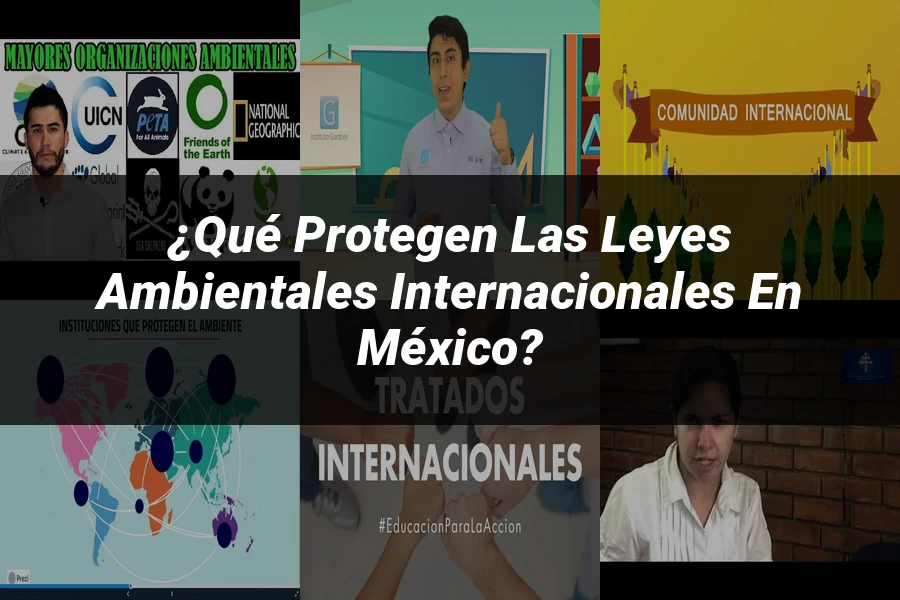"¿Qué Protegen las Leyes Ambientales Internacionales en México?"