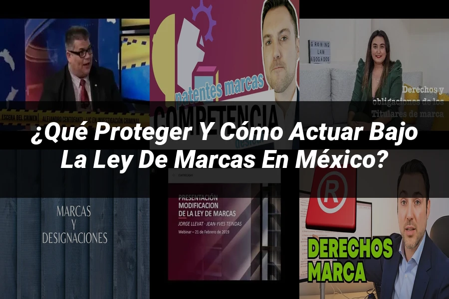"¿Qué Proteger y Cómo Actuar Bajo la Ley de Marcas en México?"