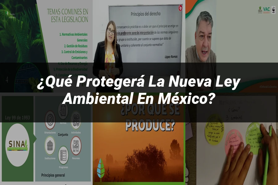 "¿Qué Protegerá la Nueva Ley Ambiental en México?"