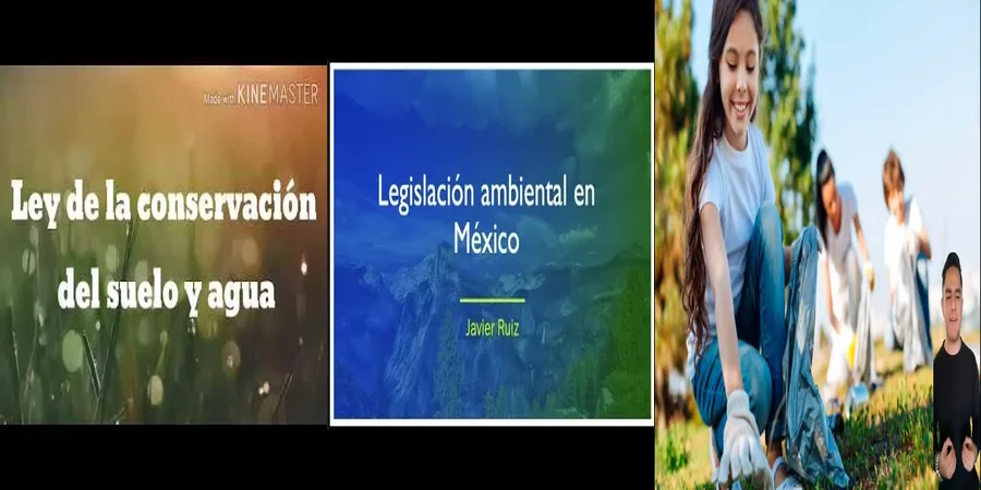 "¿Qué Protegerán las Nuevas Leyes Ambientales en México?"