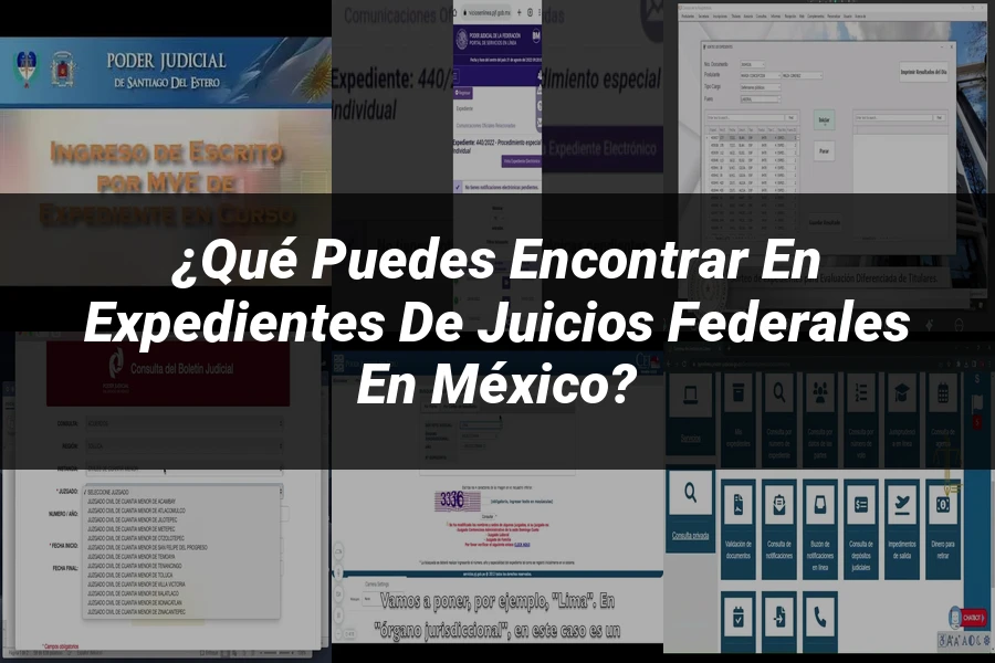 "¿Qué Puedes Encontrar en Expedientes de Juicios Federales en México?"