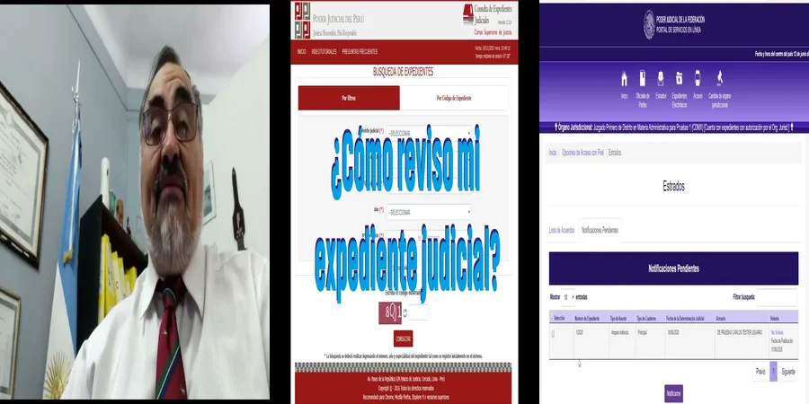 "¿Qué Puedes Encontrar en Expedientes de Juicios Federales en México?"