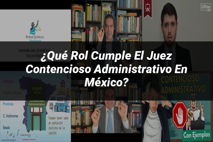 "¿Qué Rol Cumple el Juez Contencioso Administrativo en México?"