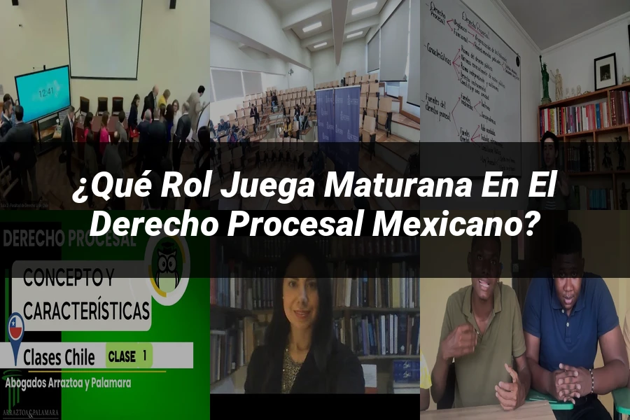 "¿Qué Rol Juega Maturana en el Derecho Procesal Mexicano?"