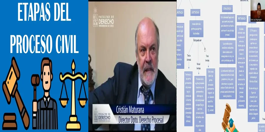 "¿Qué Rol Juega Maturana en el Derecho Procesal Mexicano?"