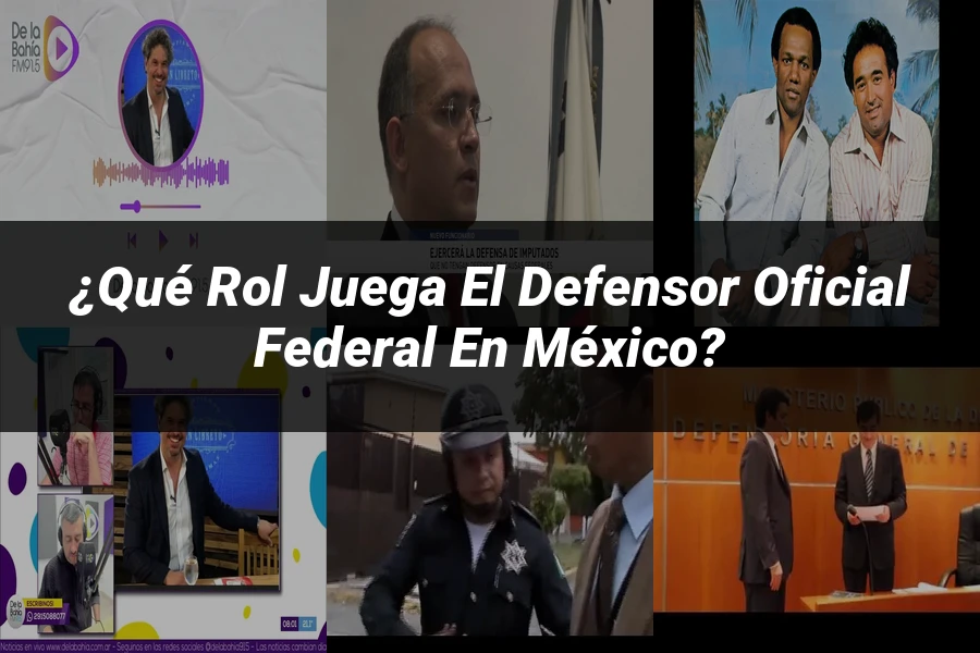"¿Qué Rol Juega el Defensor Oficial Federal en México?"