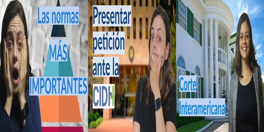"¿Qué Rol Juega el Tribunal Internacional de Derechos Humanos en México?"