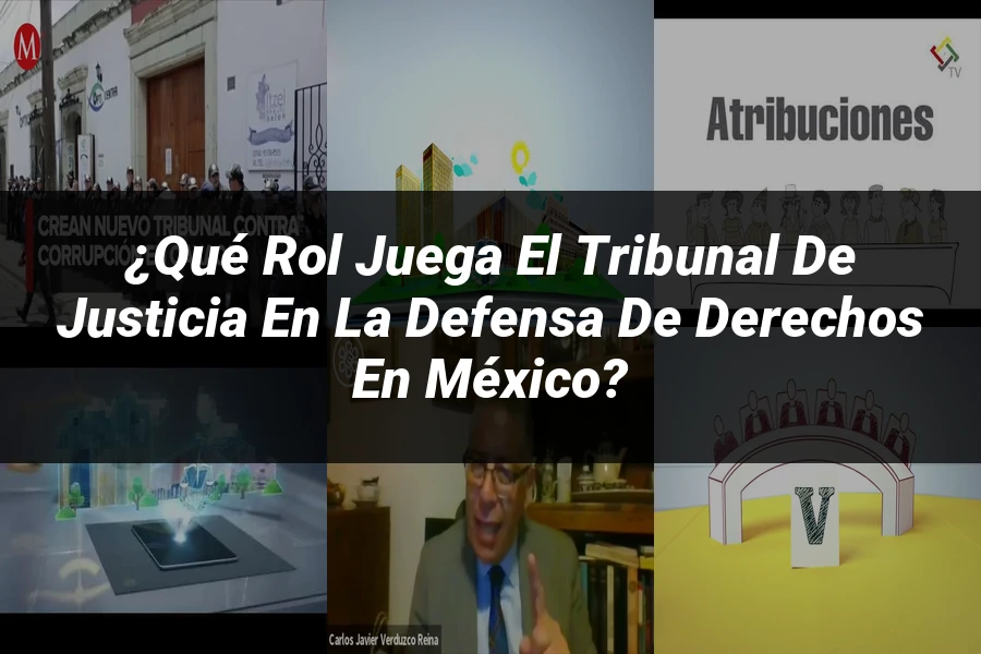 "¿Qué Rol Juega el Tribunal de Justicia en la Defensa de Derechos en México?"